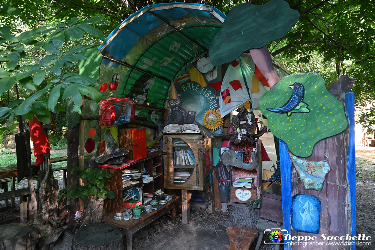 VBS_4897 - Il bosco fatato - Montaldo Roero.jpg